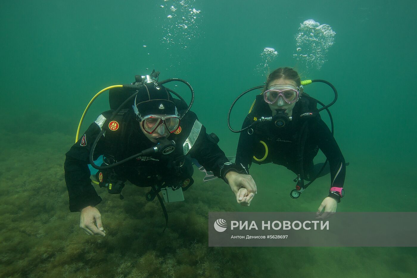 Подводный мир полуострова Крым