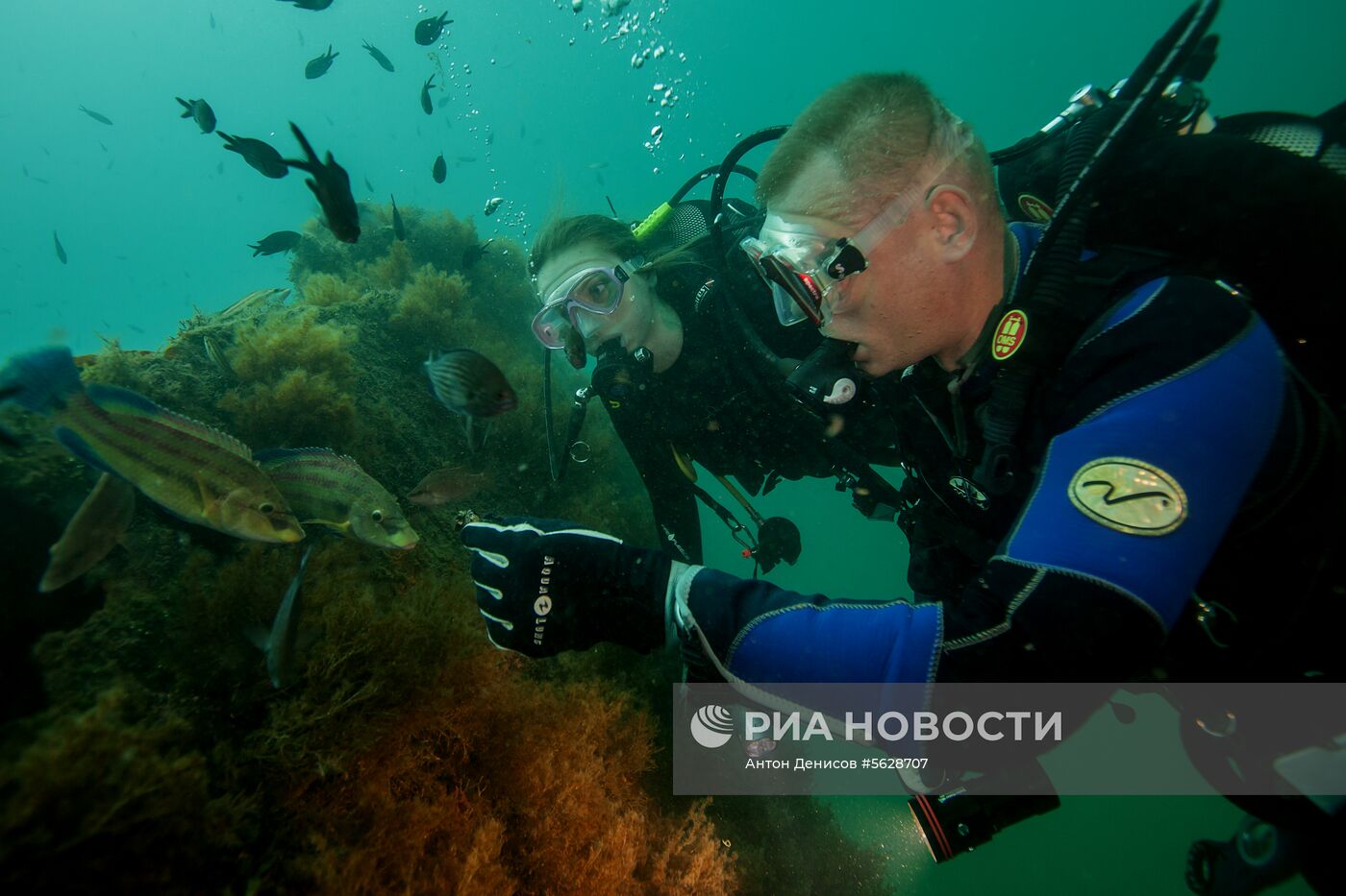 Подводный мир полуострова Крым