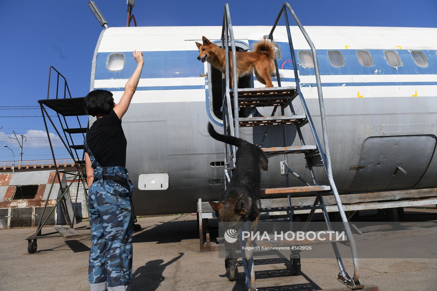 Кинологическая служба "Аэрофлота"