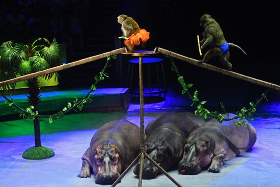 Всемирный фестиваль циркового искусства "Идол"