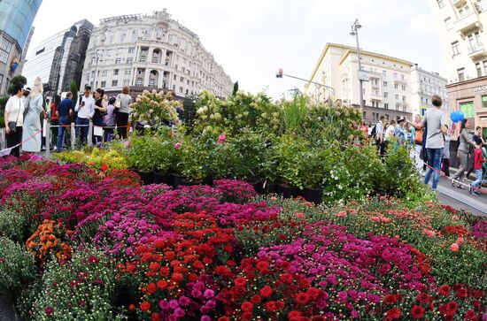 Празднование Дня города в Москве