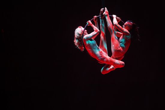 Всемирный фестиваль циркового искусства "Идол"