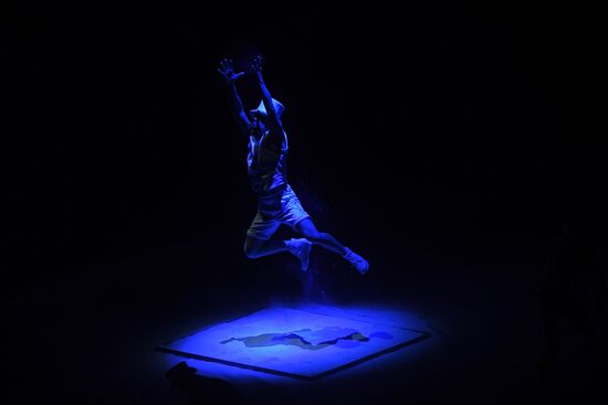 Всемирный фестиваль циркового искусства "Идол"