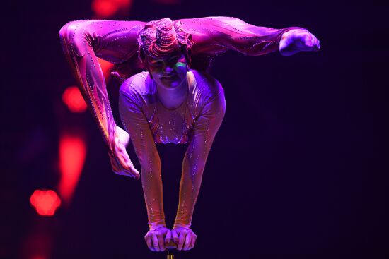 Всемирный фестиваль циркового искусства "Идол"