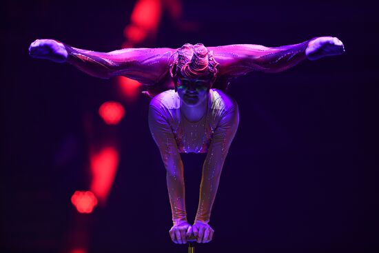 Всемирный фестиваль циркового искусства "Идол"