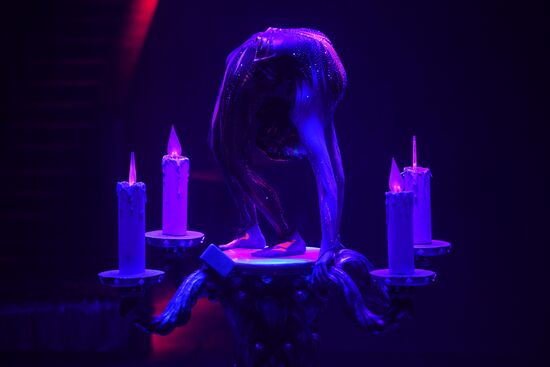 Всемирный фестиваль циркового искусства "Идол"