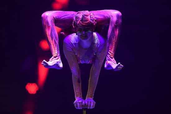 Всемирный фестиваль циркового искусства "Идол"