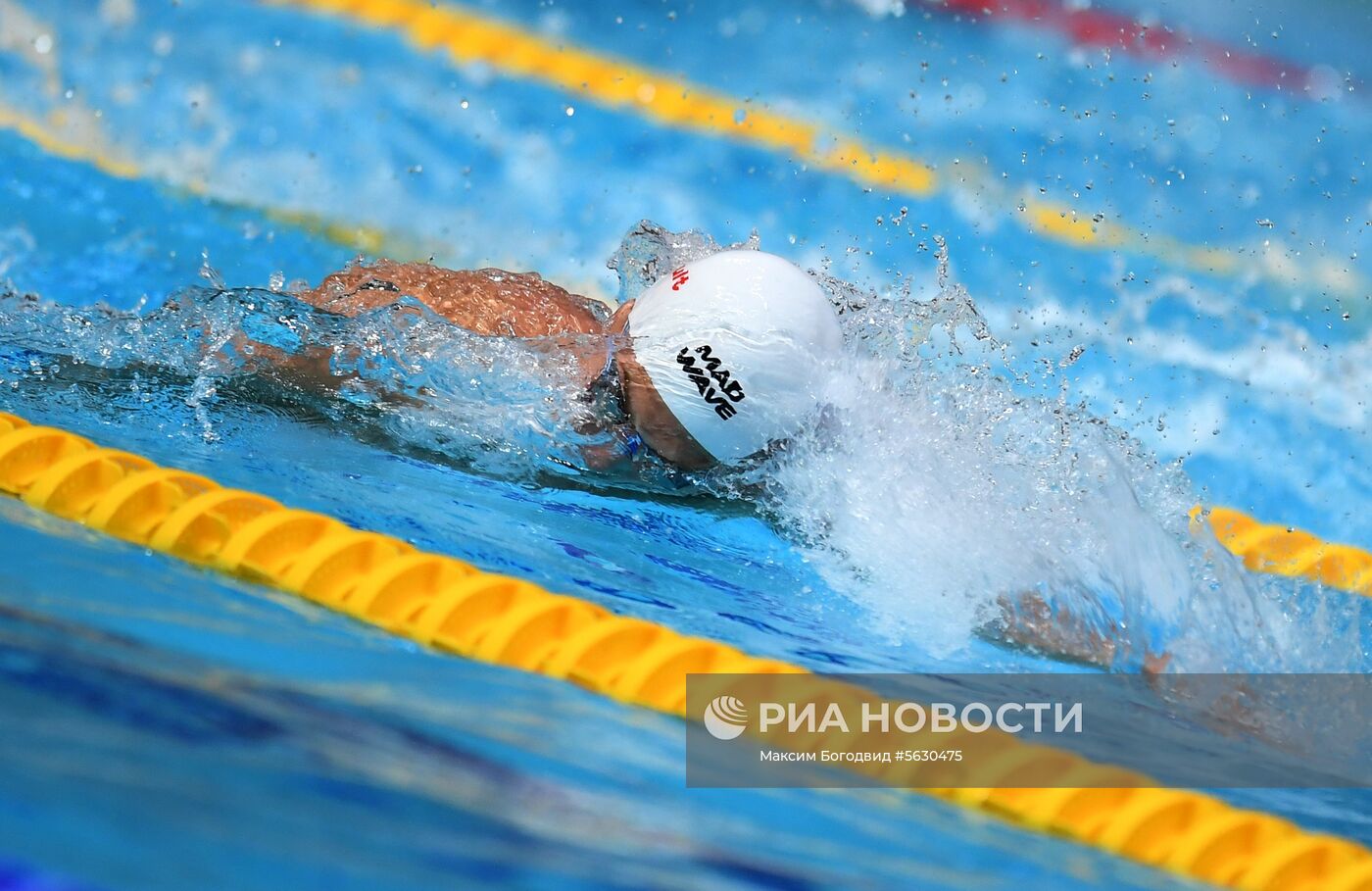 Плавание. I этап Кубка мира. Второй день