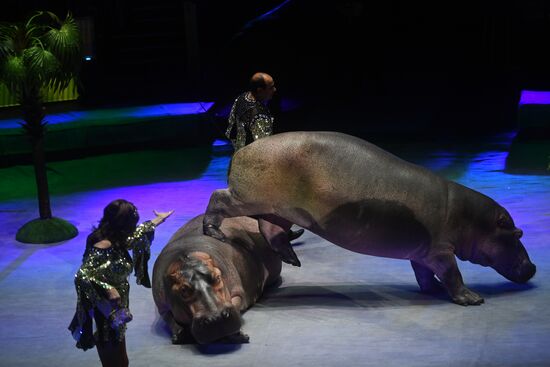 Всемирный фестиваль циркового искусства "Идол"