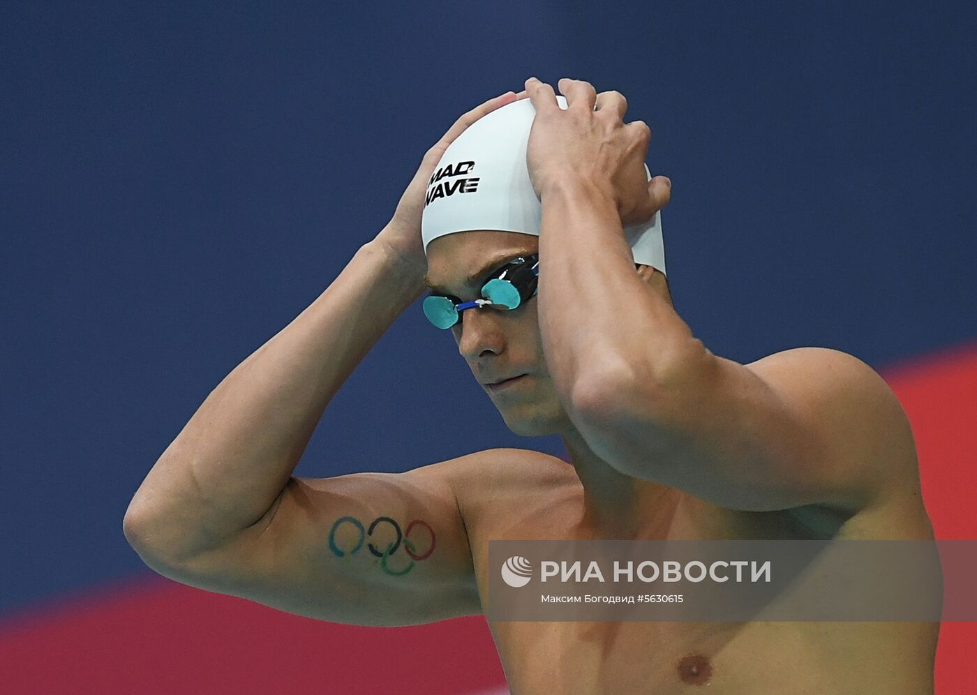 Плавание. I этап Кубка мира. Второй день