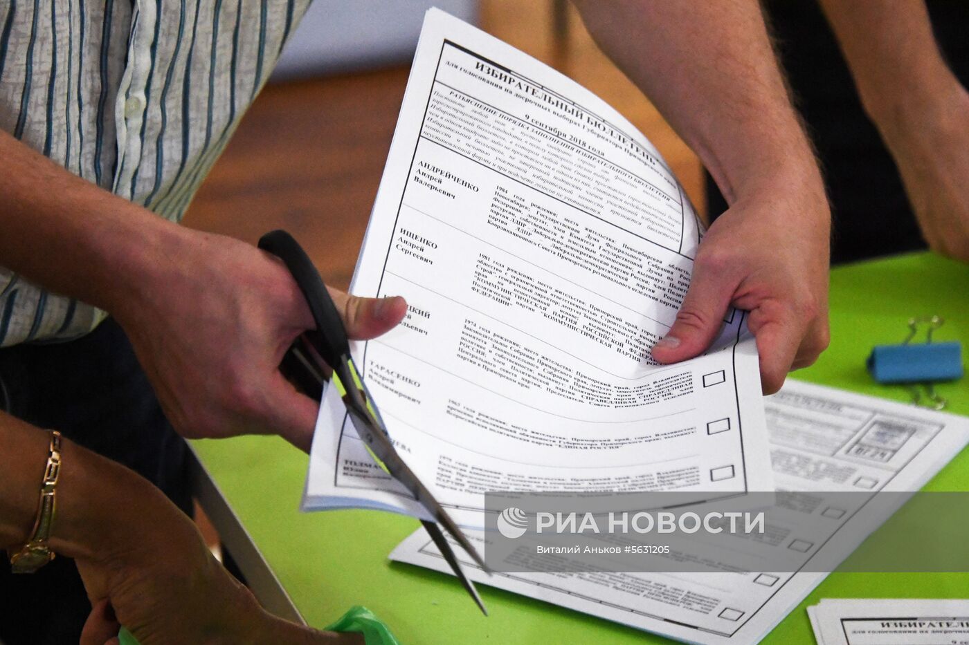 Подсчет голосов на выборах в Единый день голосования 