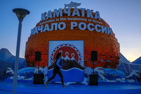 Владивосток в преддверии IV Восточного экономического форума 