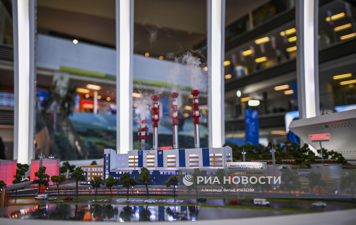 Стартовый день IV Восточного экономического форума