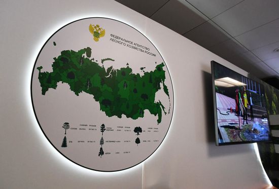 Стартовый день IV Восточного экономического форума