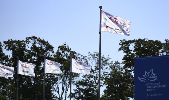 IV Восточный экономический форум. День первый