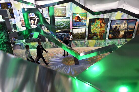 IV Восточный экономический форум. День первый