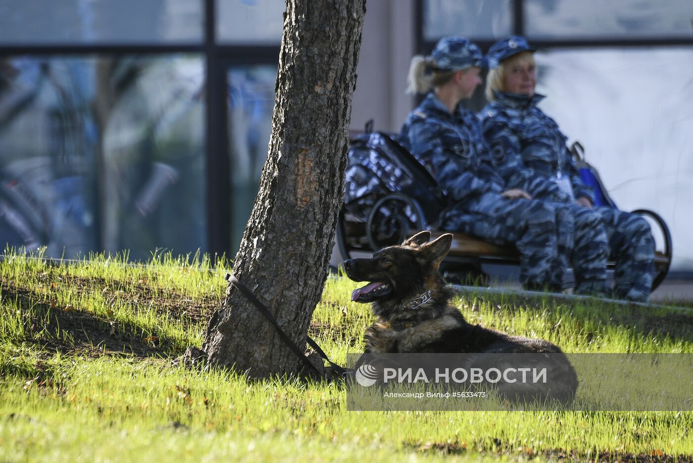 IV Восточный экономический форум. День первый