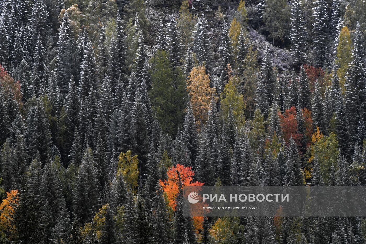 Снег на Буйбинском перевале