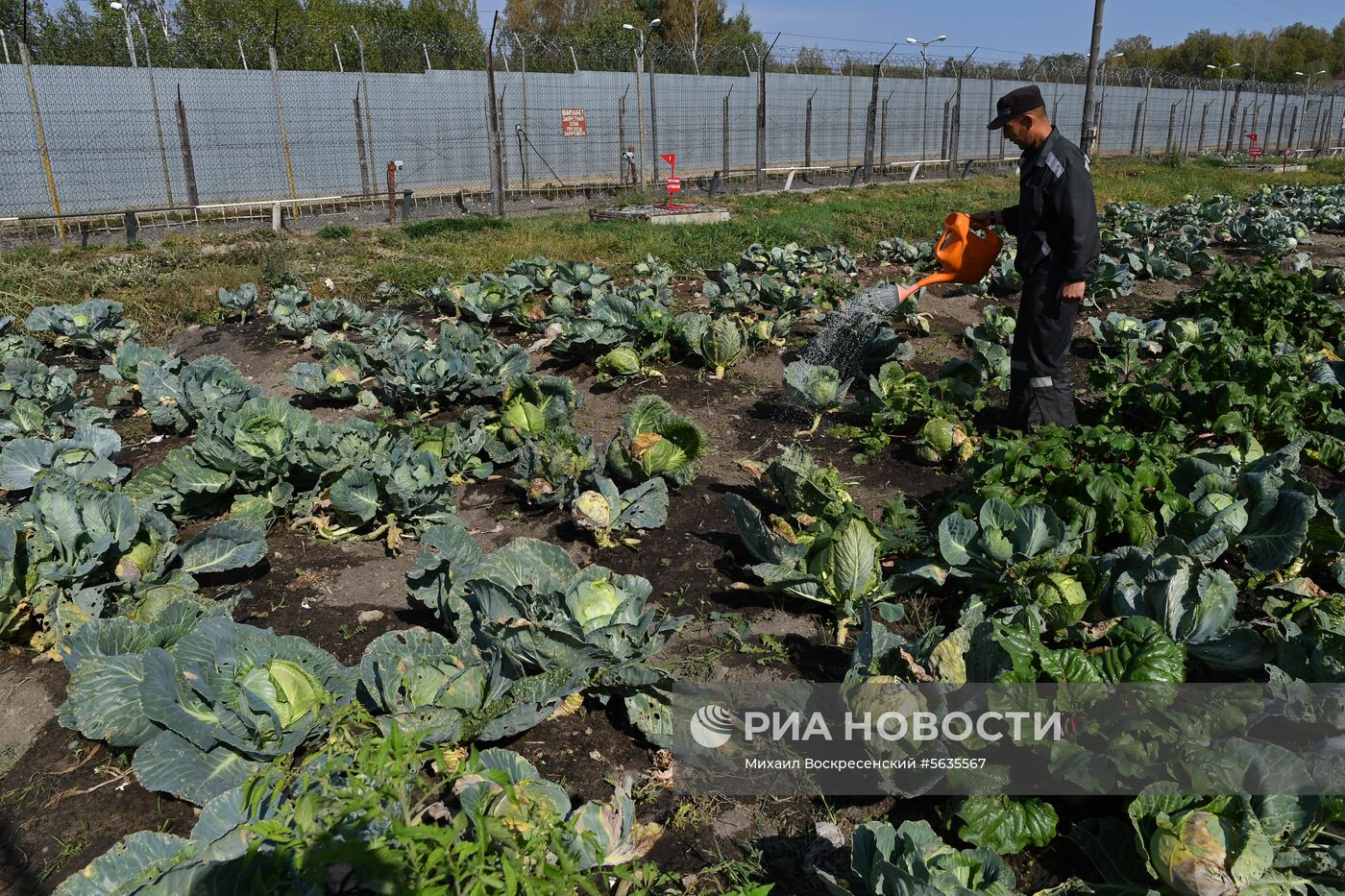 Колония для иностранцев ИК-22