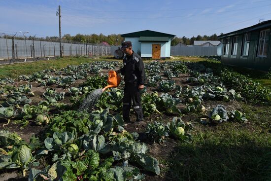 Колония для иностранцев ИК-22