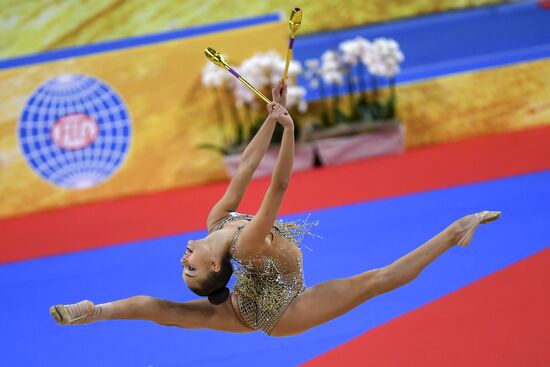 Художественная гимнастика. Чемпионат мира. День четвертый