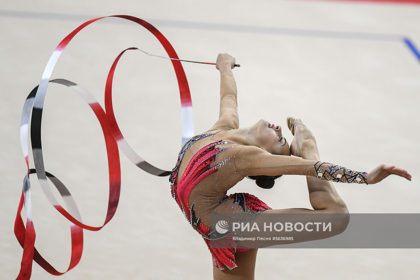 Художественная гимнастика. Чемпионат мира. День четвертый