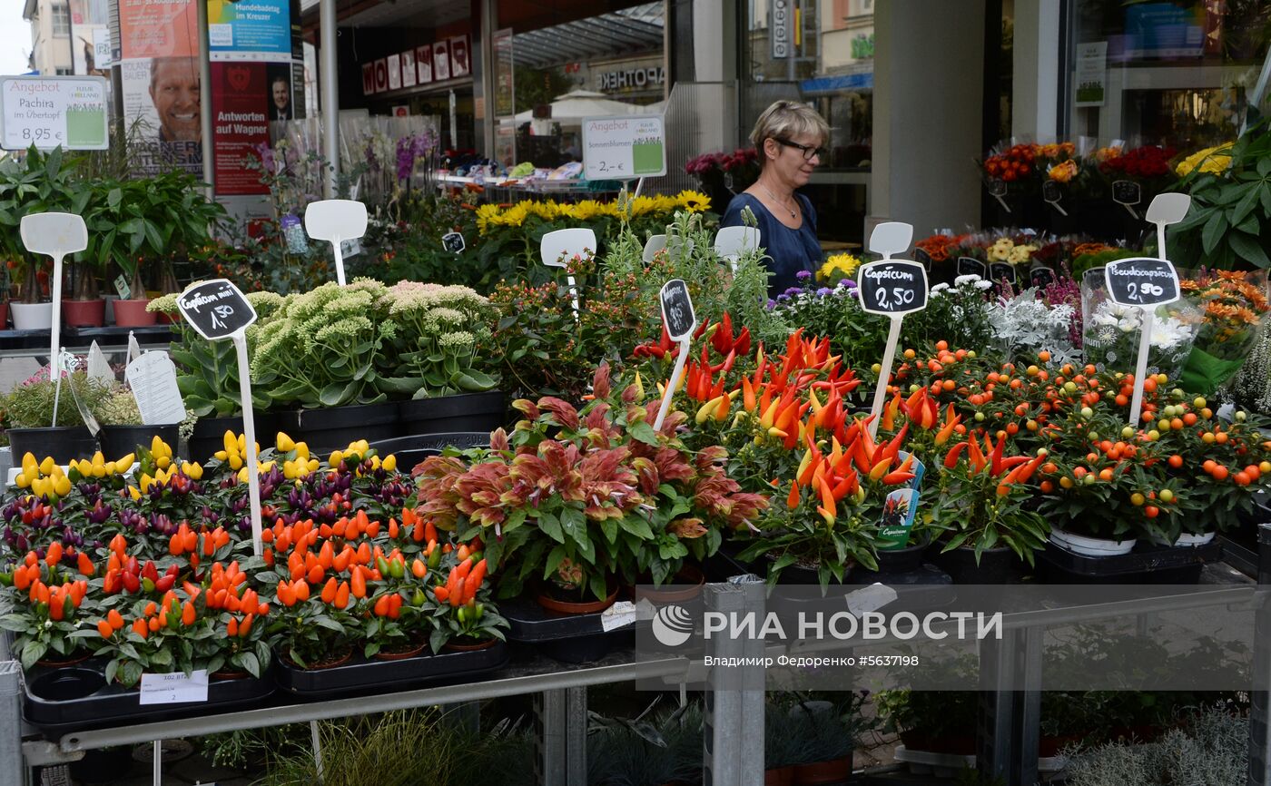 Страны  мира. Германия 