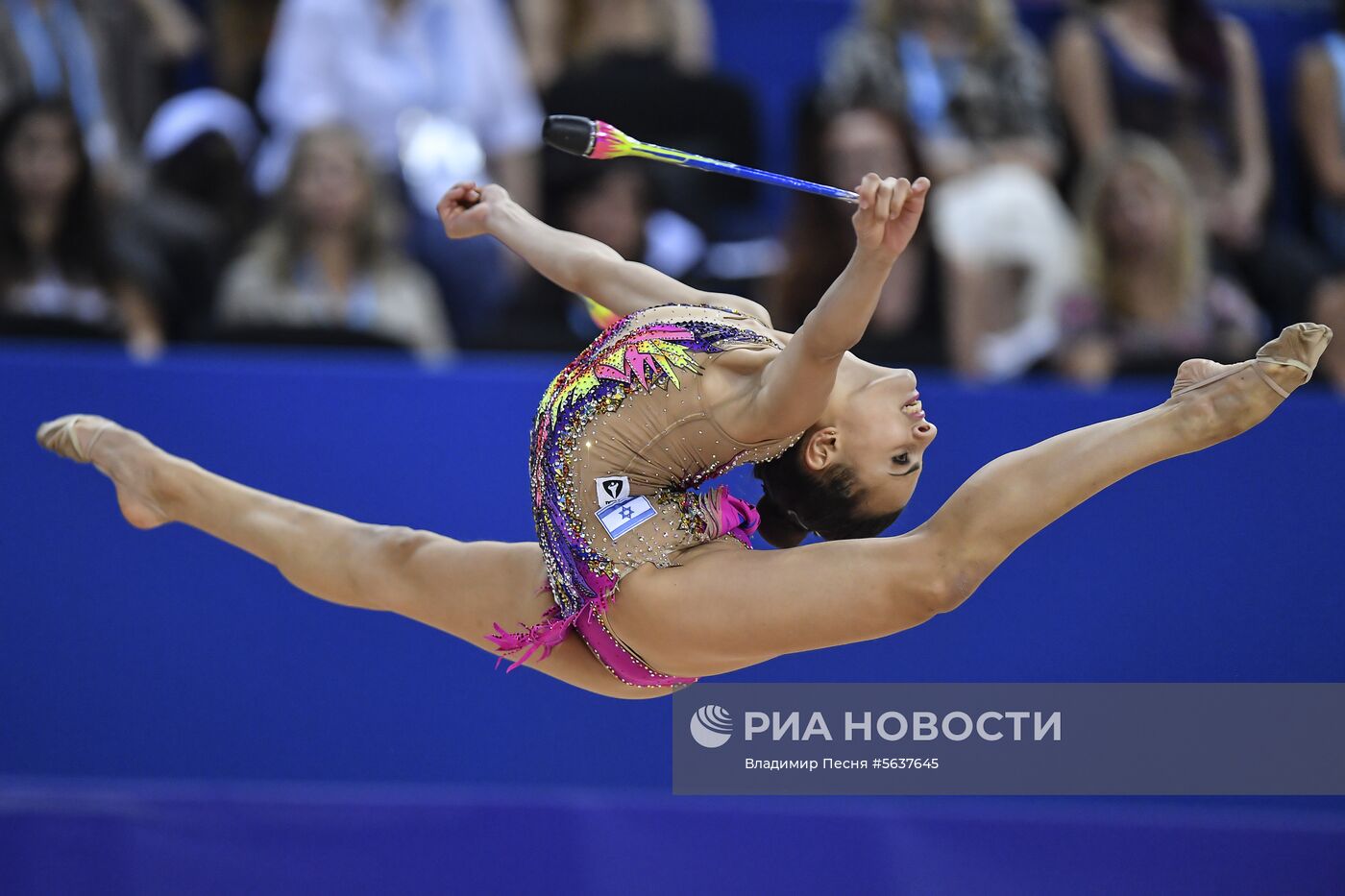 Художественная гимнастика. Чемпионат мира. Пятый день