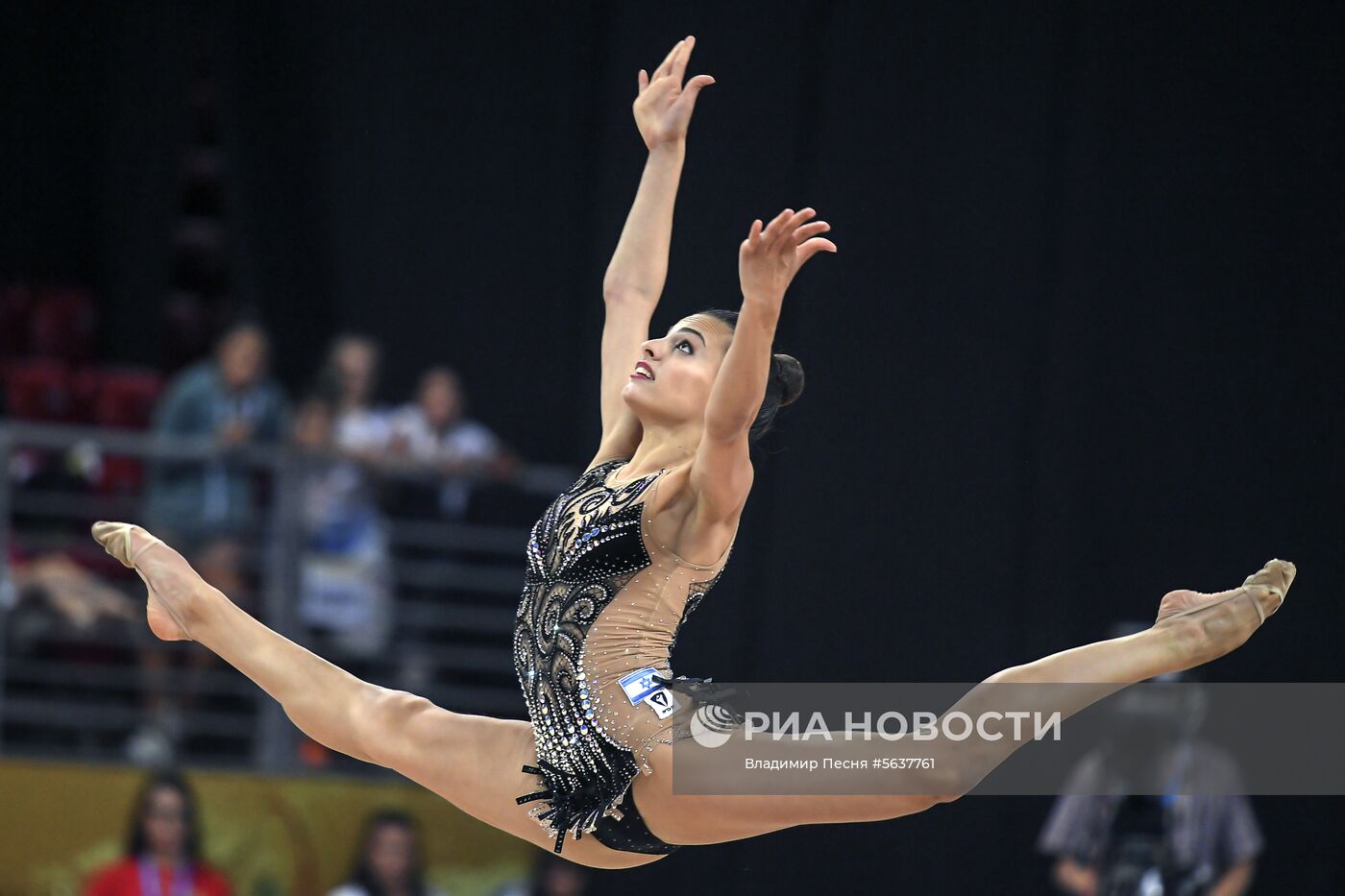 Художественная гимнастика. Чемпионат мира. Пятый день