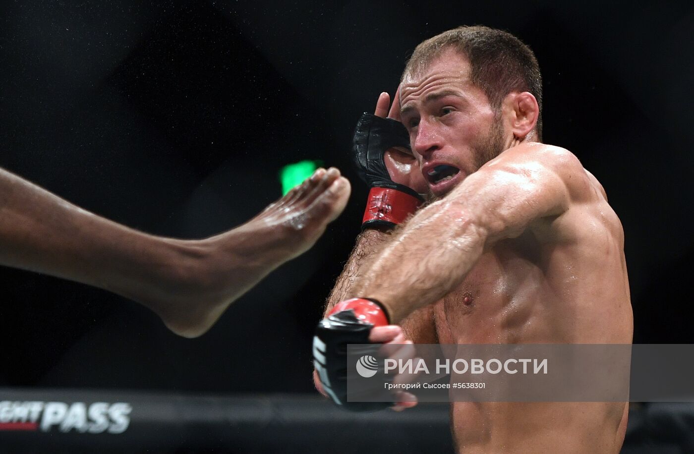 UFC Fight Night в Москве 