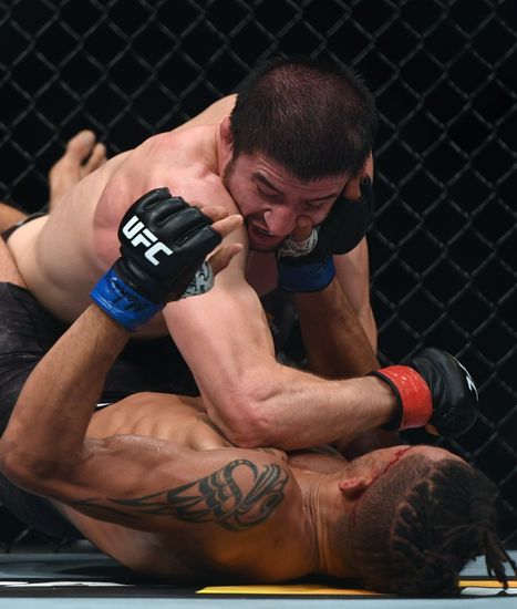 UFC Fight Night в Москве 