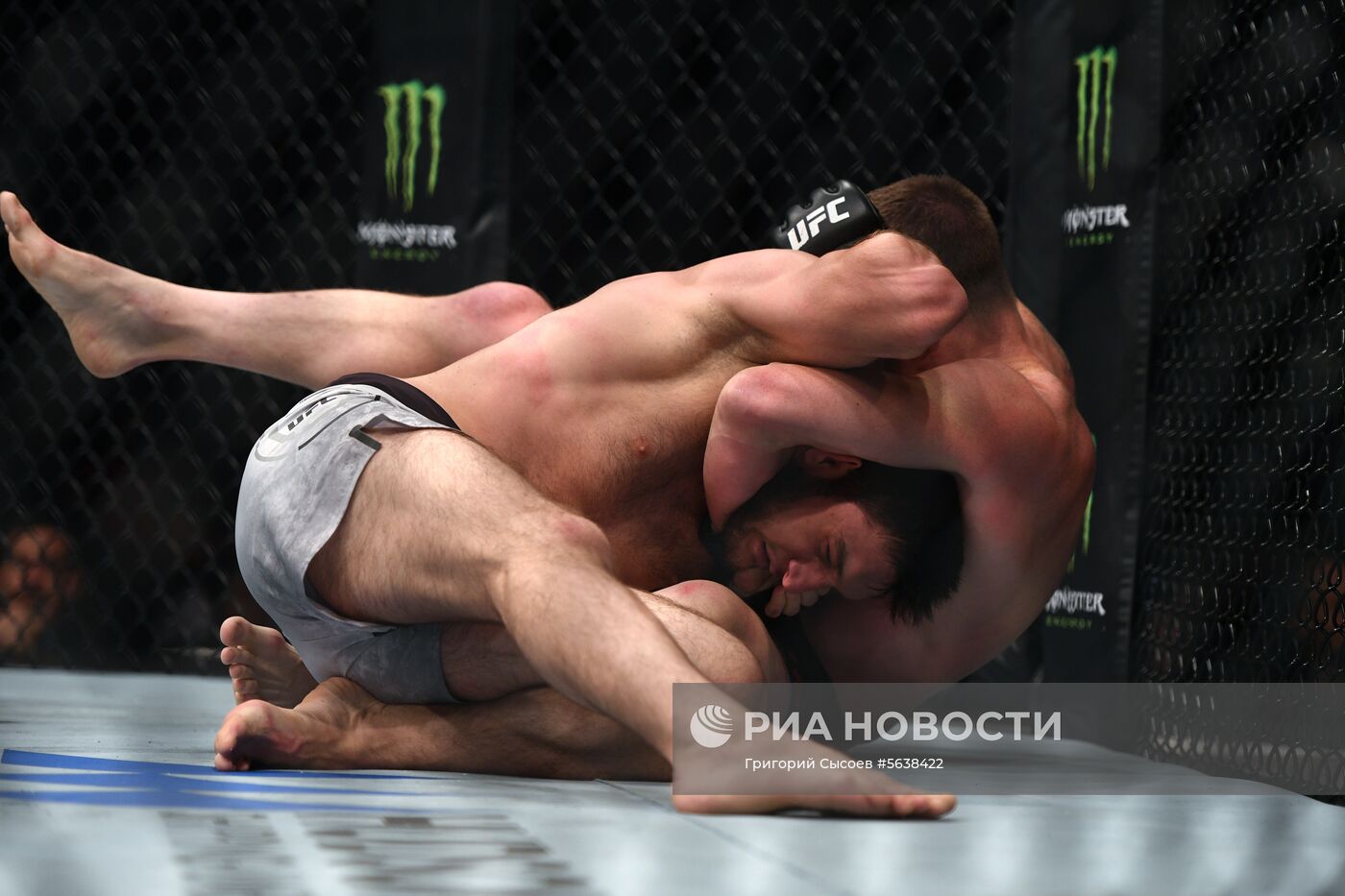 UFC Fight Night в Москве 