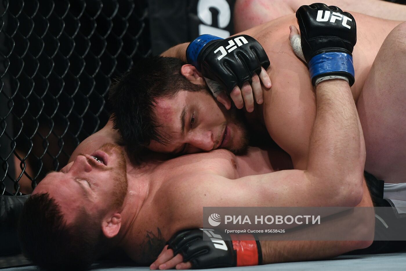 UFC Fight Night в Москве