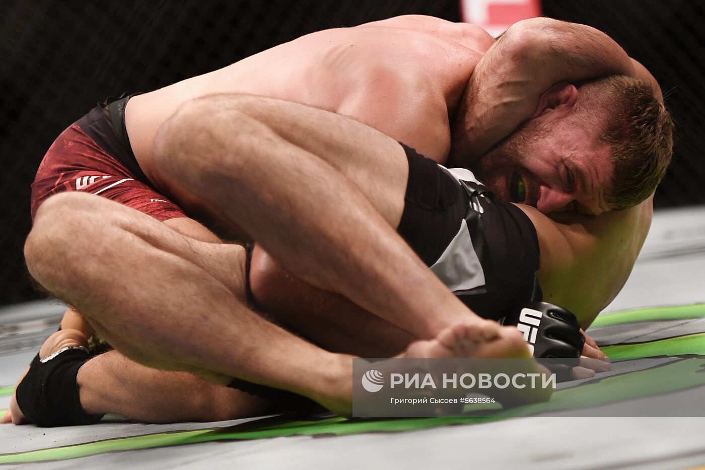 UFC Fight Night в Москве