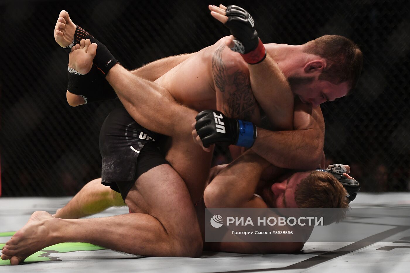 UFC Fight Night в Москве