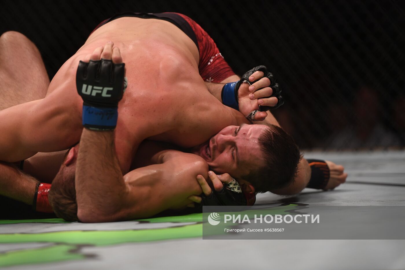 UFC Fight Night в Москве