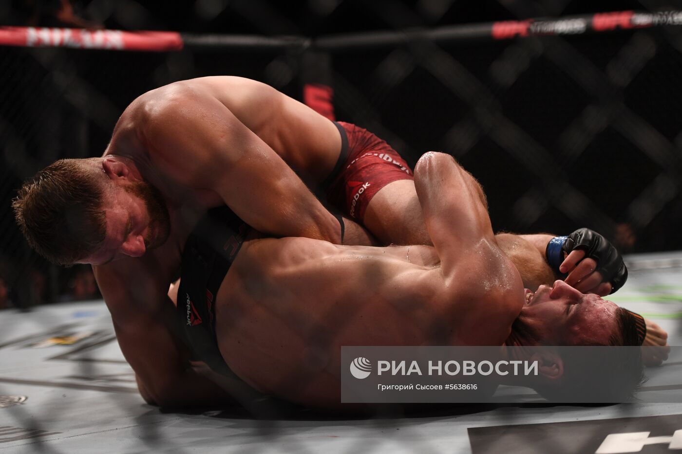 UFC Fight Night в Москве 