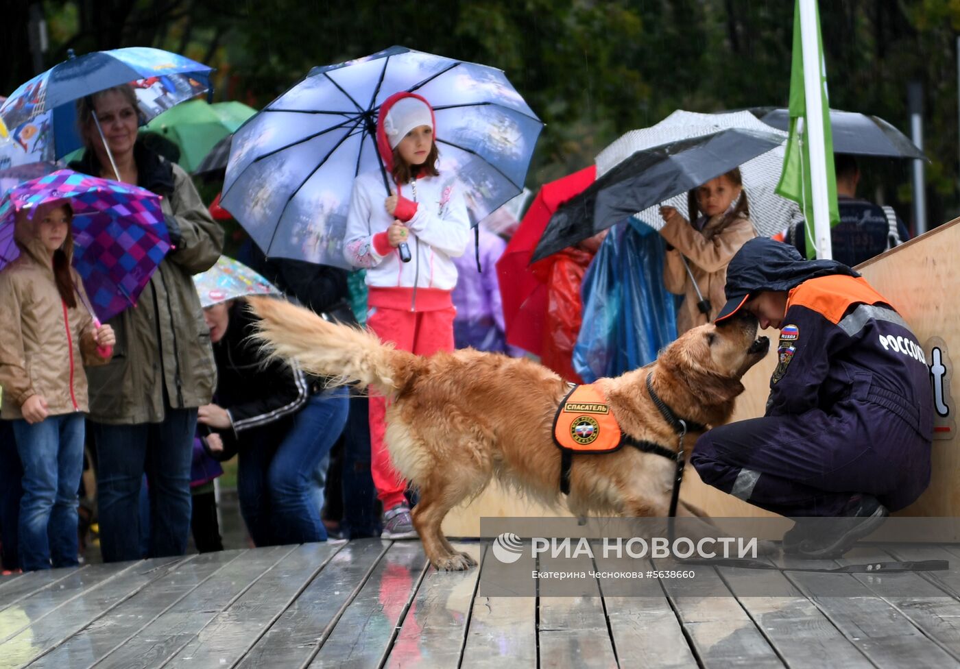 Парад собак в парке "Красная пресня"