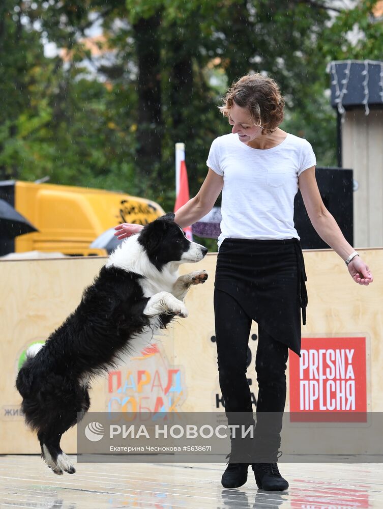 Парад собак в парке "Красная пресня"