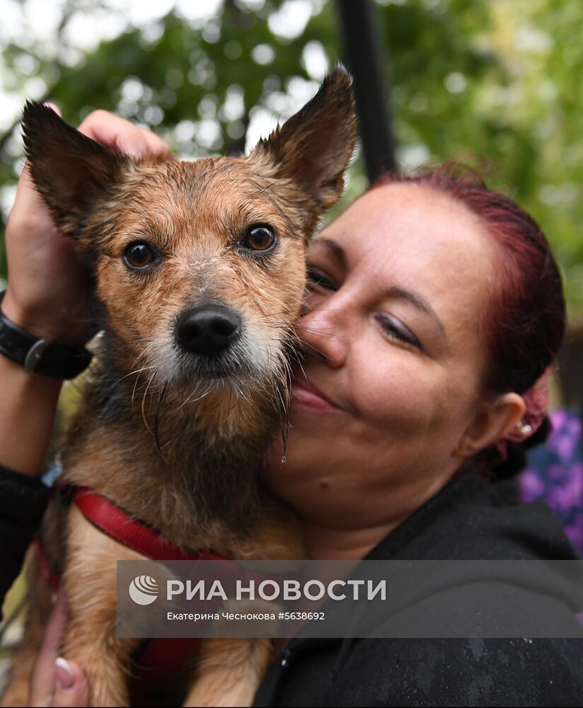 Парад собак в парке "Красная пресня"