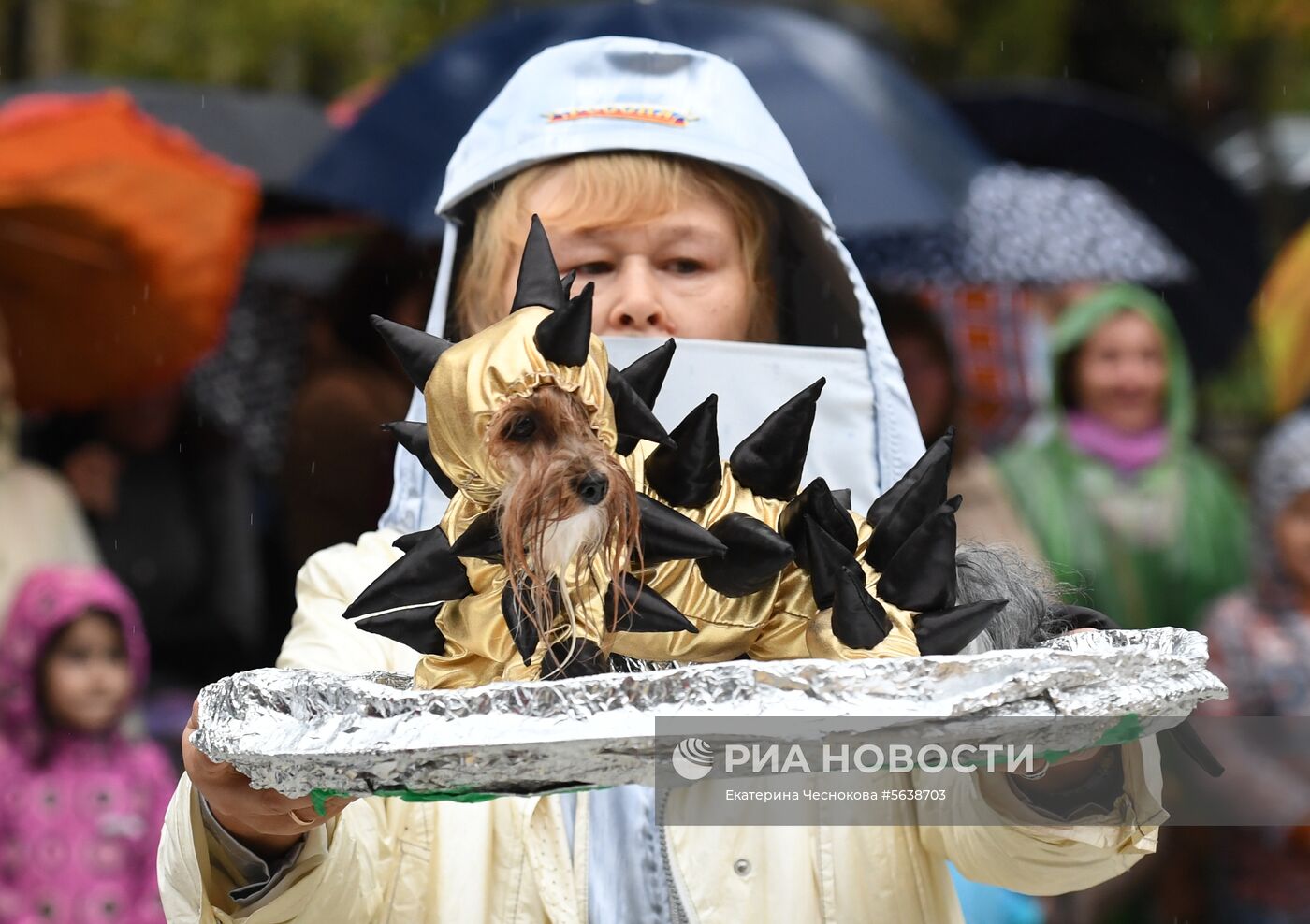 Парад собак в парке "Красная пресня"