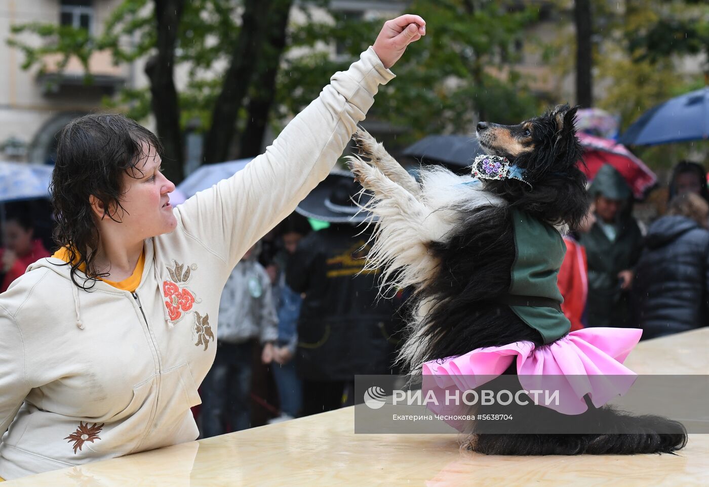 Парад собак в парке "Красная пресня"