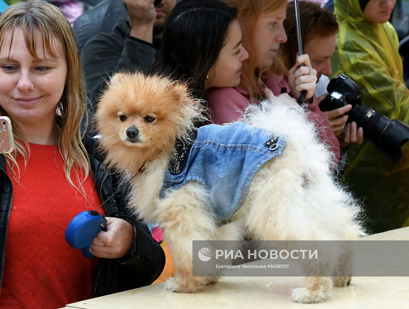 Парад собак в парке "Красная пресня"