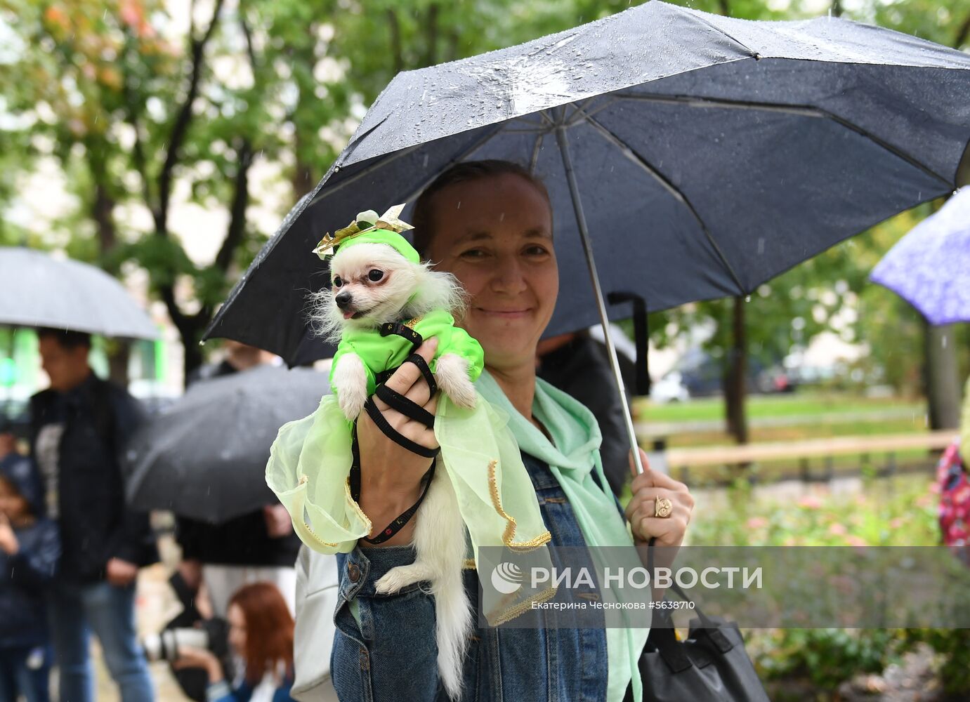 Парад собак в парке "Красная пресня"