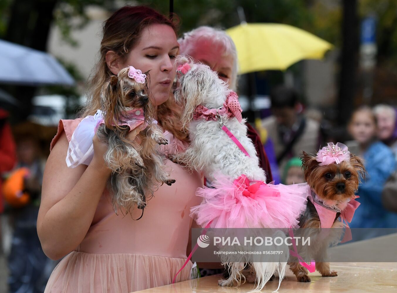 Парад собак в парке "Красная пресня"