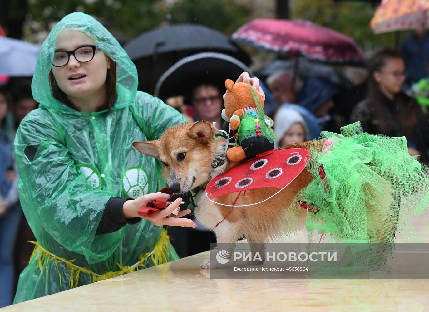 Парад собак в парке "Красная пресня"