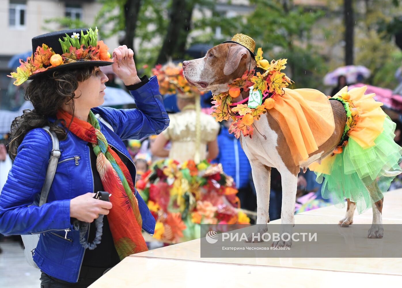 Парад собак в парке "Красная пресня"