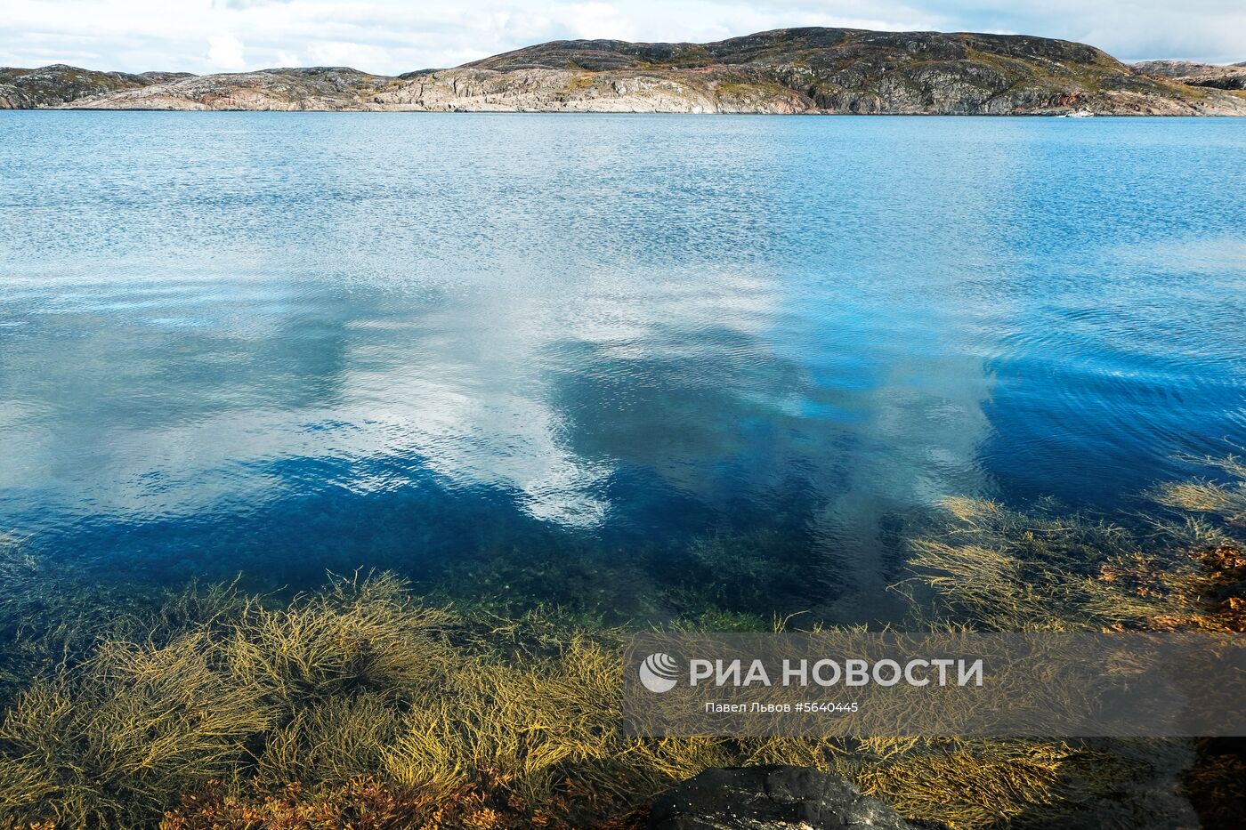 Регионы России. Мурманская область