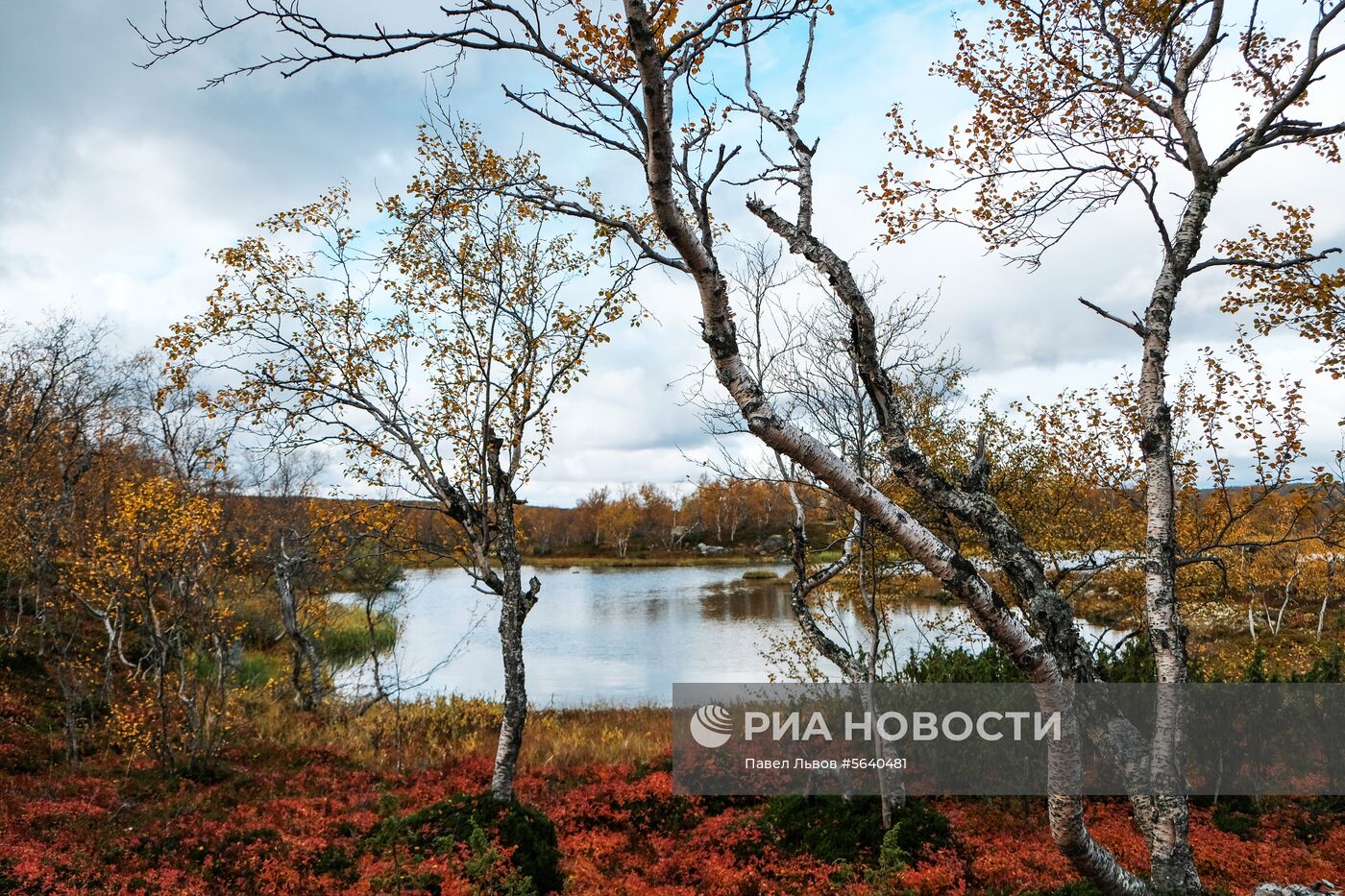 Регионы России. Мурманская область