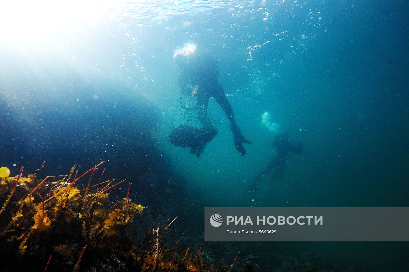 Регионы России. Мурманская область